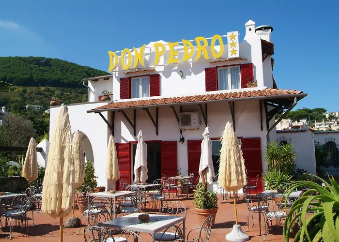 Hotel Don Pedro